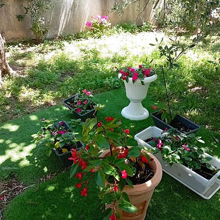 Apartmani Trubi 3 Vodice Exteriör bild