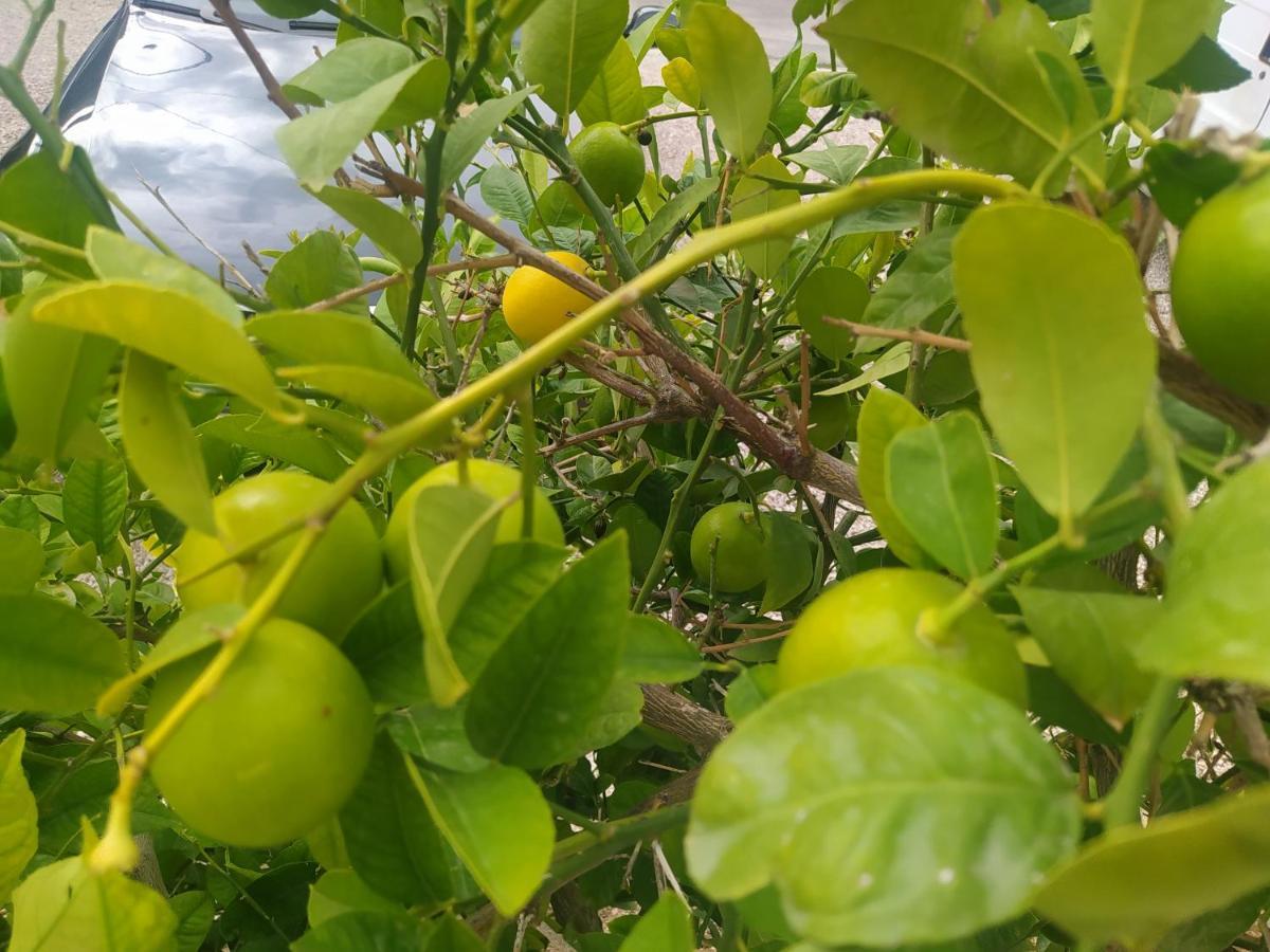 Apartmani Trubi 3 Vodice Exteriör bild