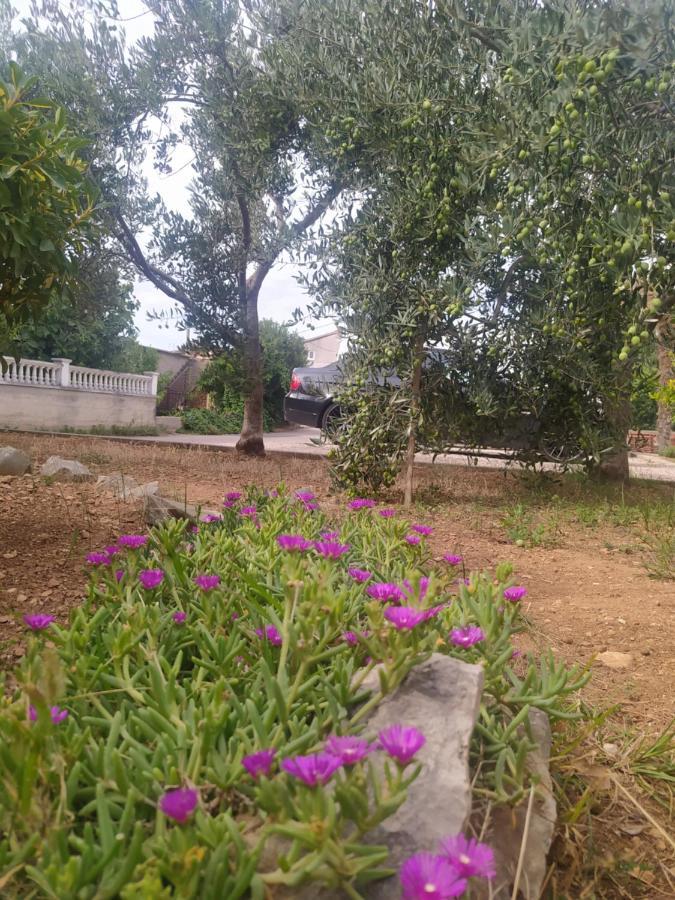 Apartmani Trubi 3 Vodice Exteriör bild