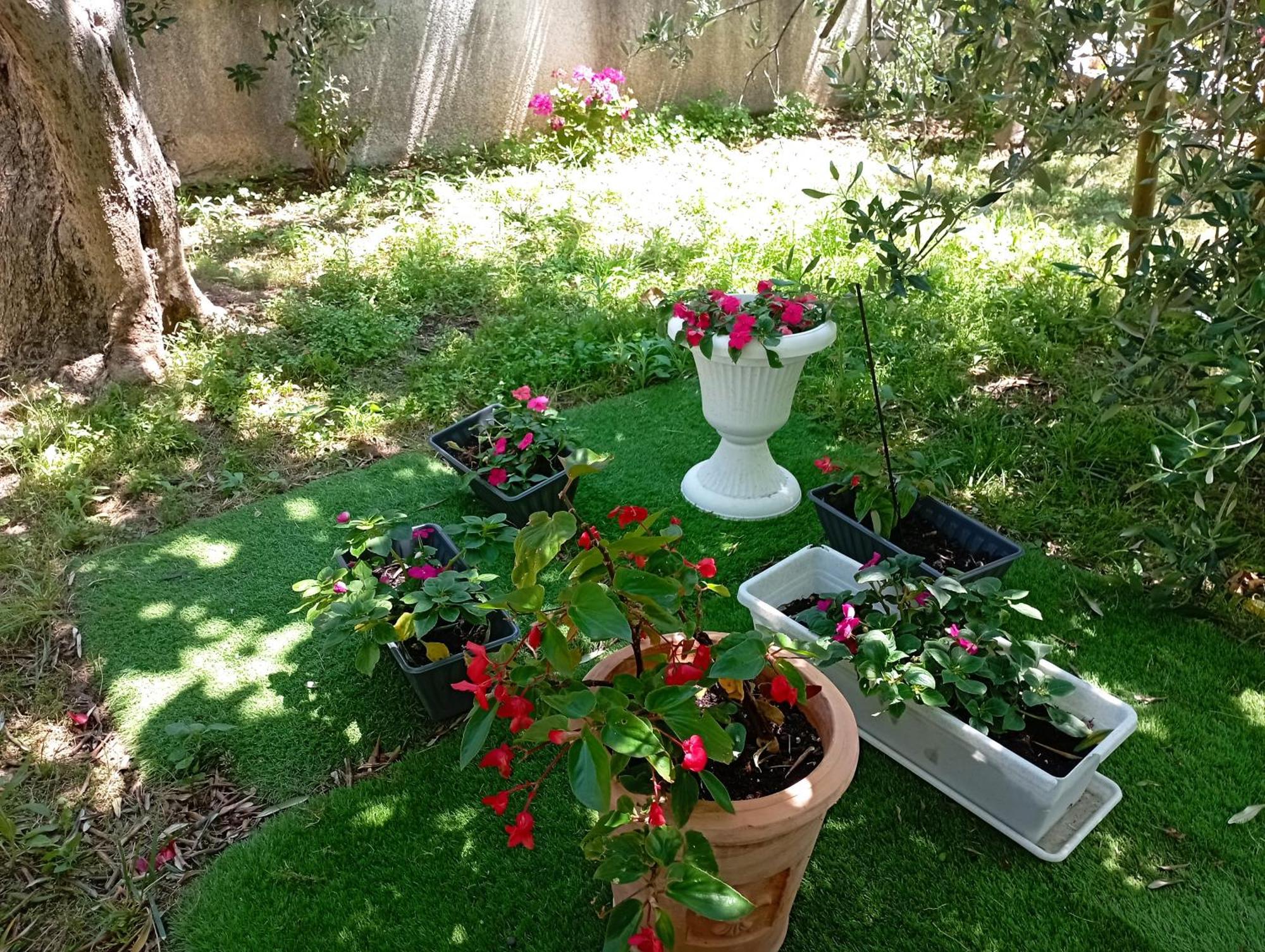 Apartmani Trubi 3 Vodice Exteriör bild